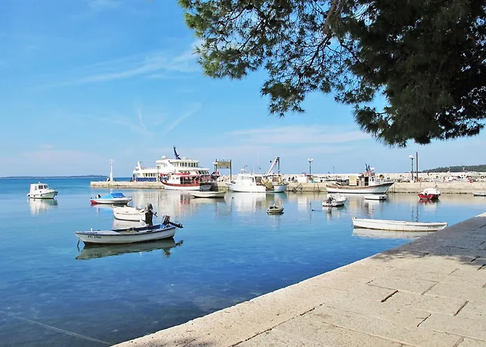 Old Olive I By Interhome Vodnjan